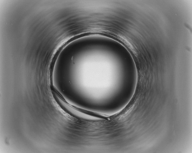 X0000094220939200710261227
