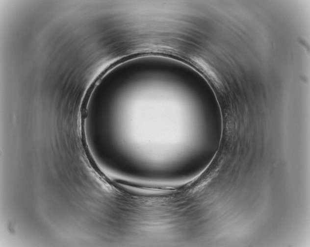 X0000094220940200710261227