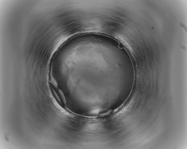 X0000094220941200710261227