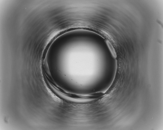 X0000094220942200710261227
