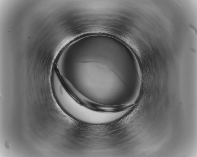 X0000094220943200710261227