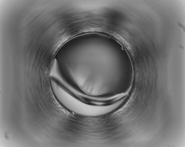 X0000094220945200710261227