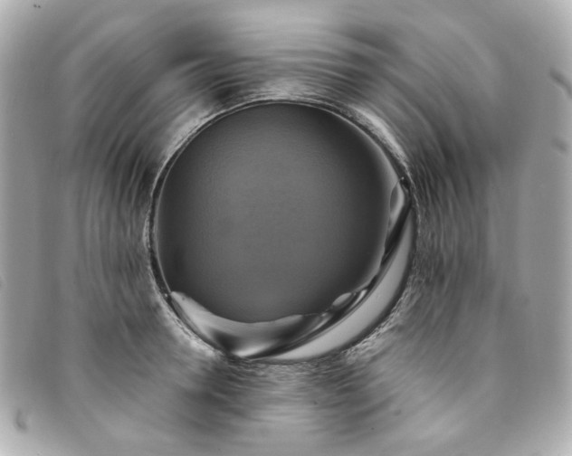X0000094220946200710261227
