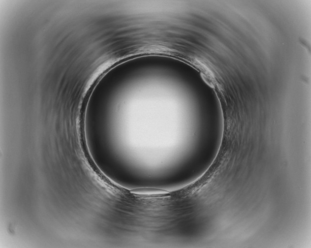 X0000094220947200710261227