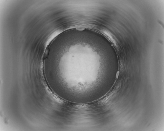 X0000094220952200710261227