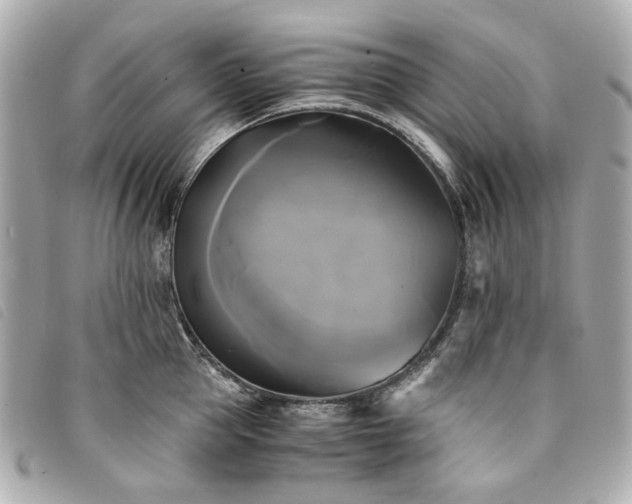 X0000094220953200710261227