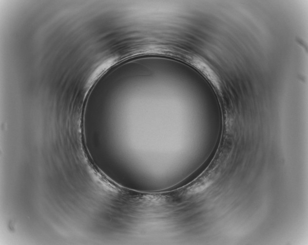 X0000094220954200710261227