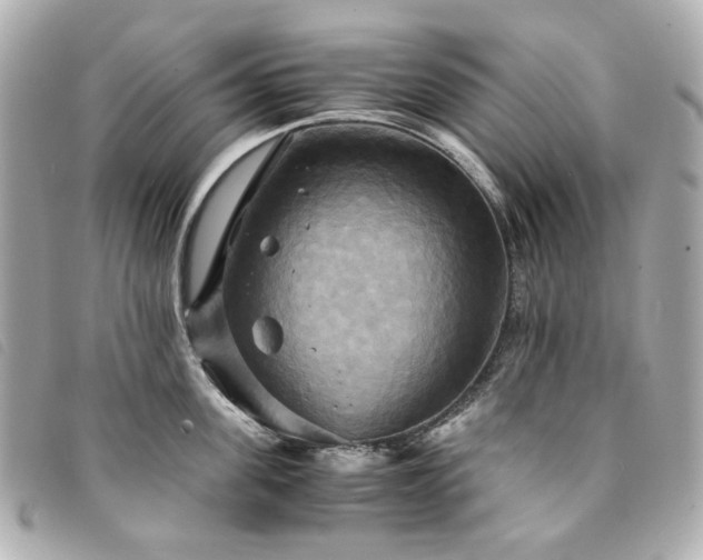 X0000094220955200710261227