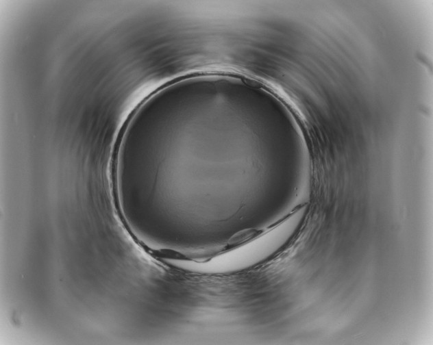 X0000094220959200710261227
