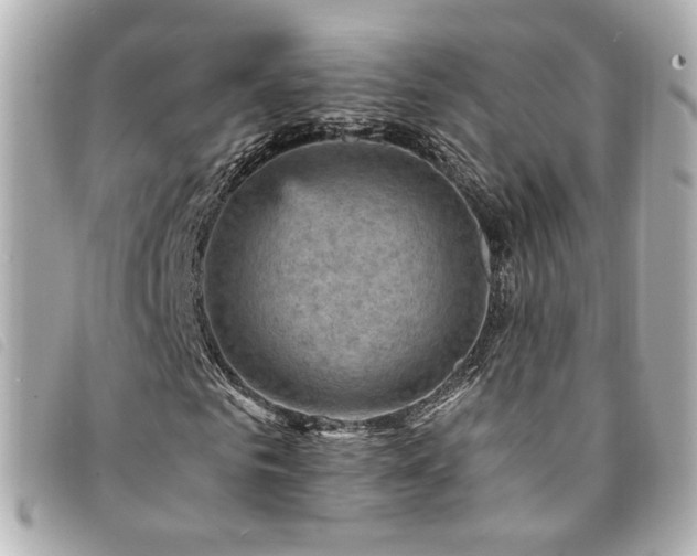 X0000094220961200710261227
