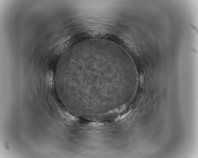 X0000094220963200710261227