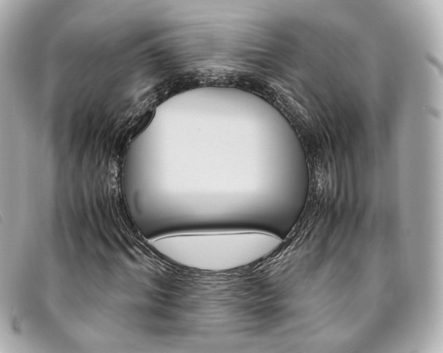 X0000094220964200710261227