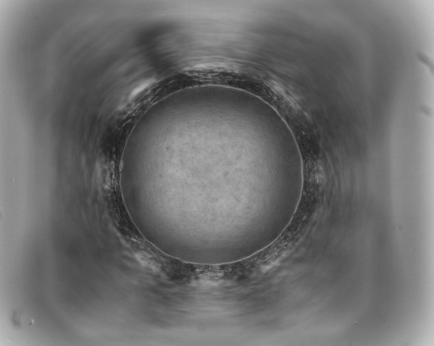 X0000094220965200710261227