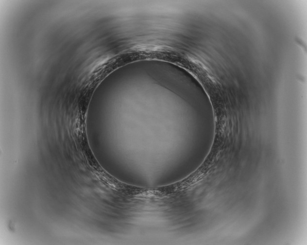 X0000094220966200710261227