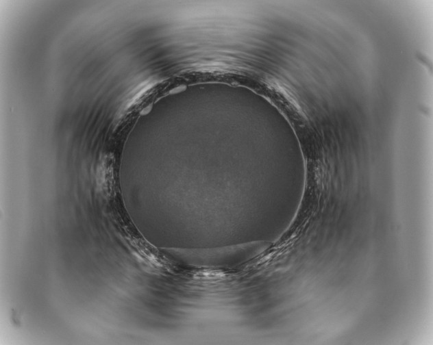 X0000094220968200710261227
