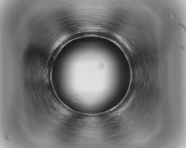 X0000094220970200710261227