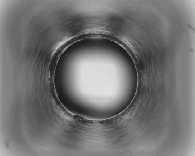 X0000094220971200710261227