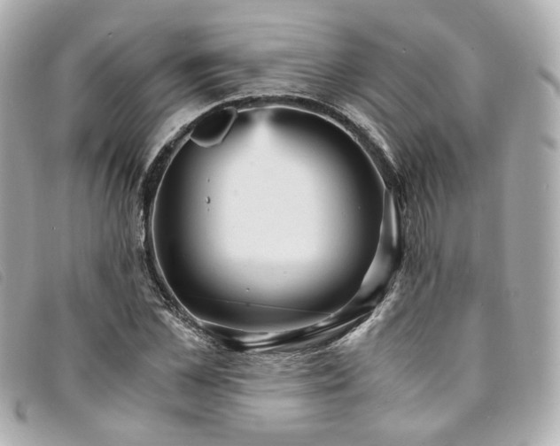 X0000094220973200710261227