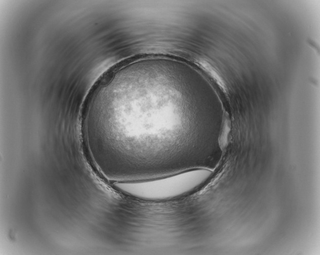 X0000094220976200710261227