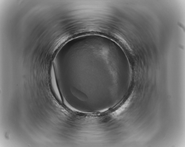 X0000094220977200710261227