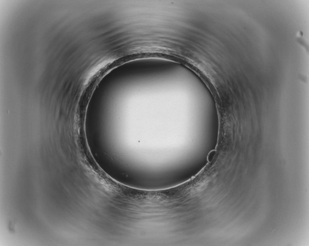 X0000094220979200710261226
