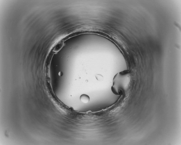 X0000094220981200710261226
