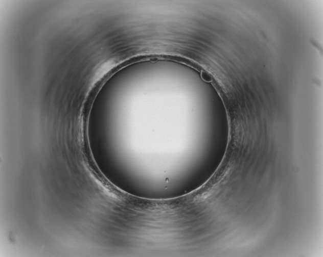 X0000094220982200710261226
