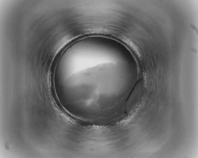 X0000094220983200710261226