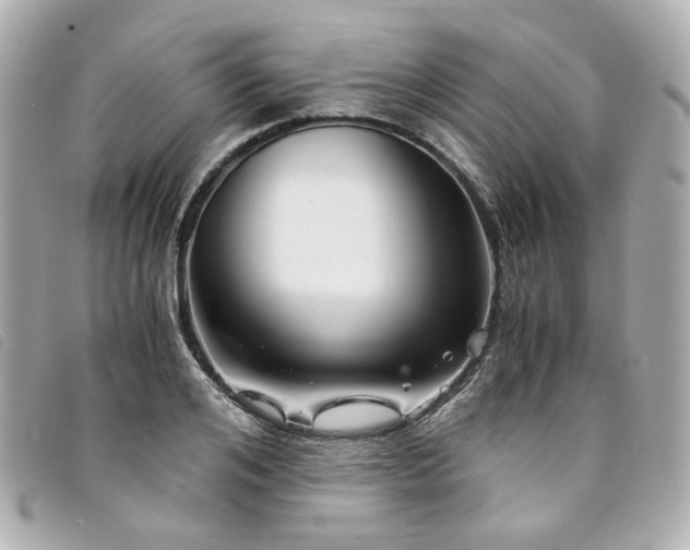 X0000094220984200710261226