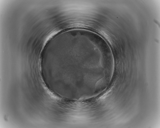 X0000094220987200710261226
