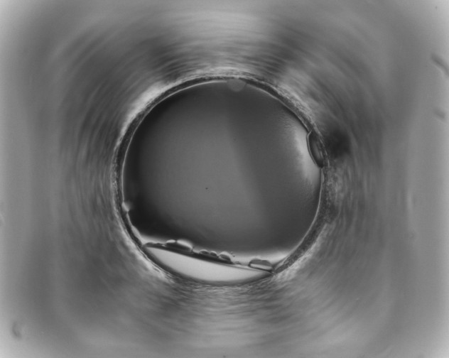 X0000094220989200710261226