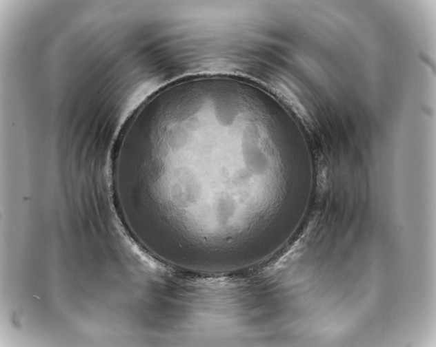 X0000094220990200710261226
