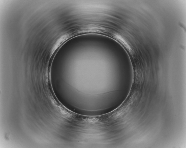 X0000094220994200710261226