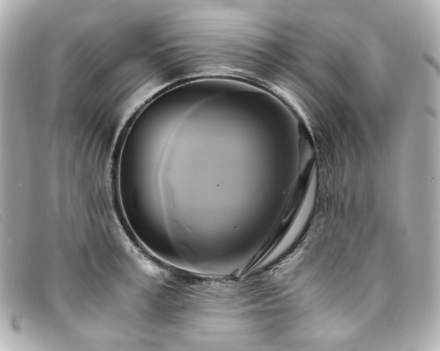 X0000094220995200710261226