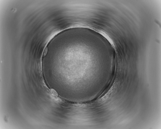 X0000094220996200710261226