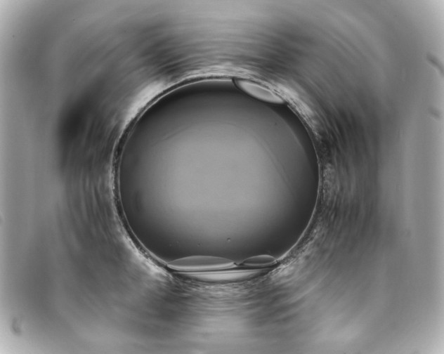 X0000094220998200710261226