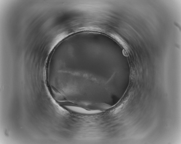X0000094220999200710261226
