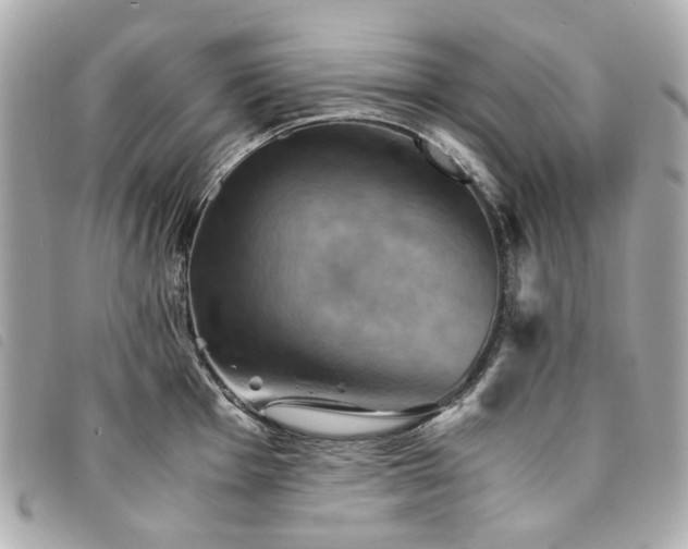 X0000094221001200710261226