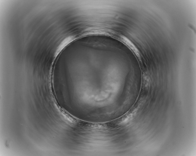 X0000094221002200710261226