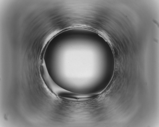 X0000094221003200710261226