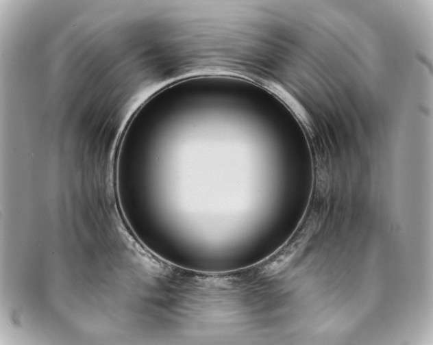 X0000094221004200710261226