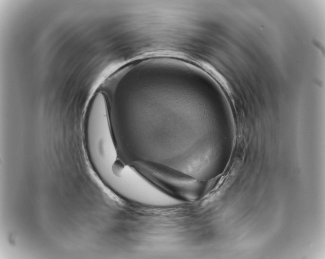 X0000094221005200710261226