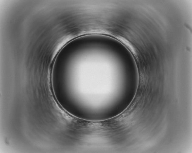 X0000094221006200710261226