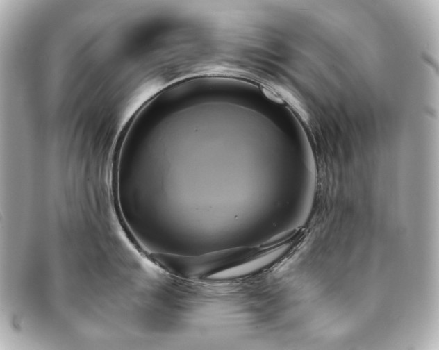 X0000094221007200710261226