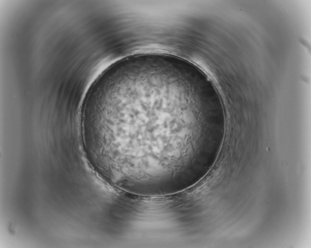 X0000094221008200710261226