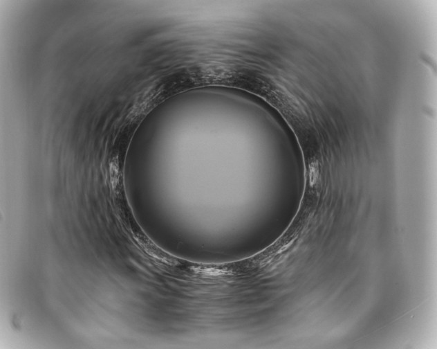 X0000094221011200710261226