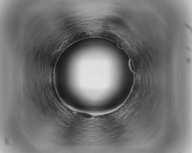 X0000094221012200710261226