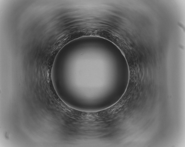 X0000094221013200710261226