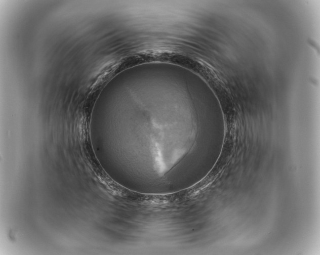 X0000094221014200710261226