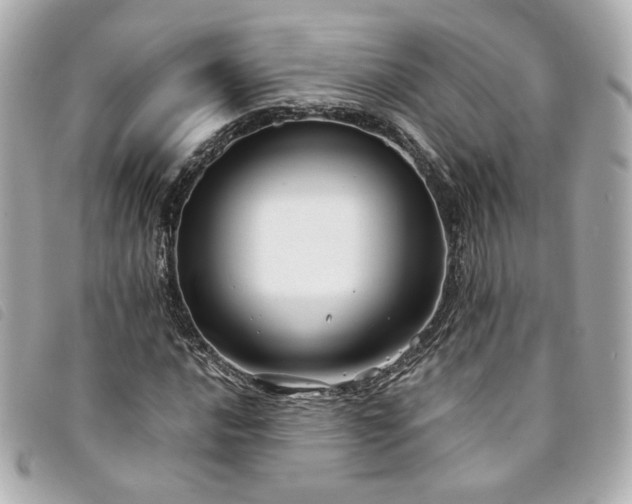 X0000094221016200710261226